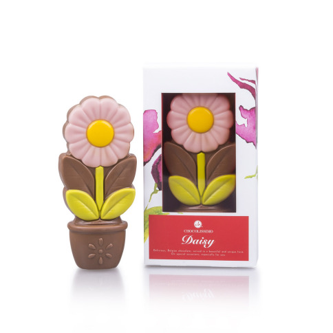 Daisy pink - fleur en chocolat, un beau cadeau pour vos proches