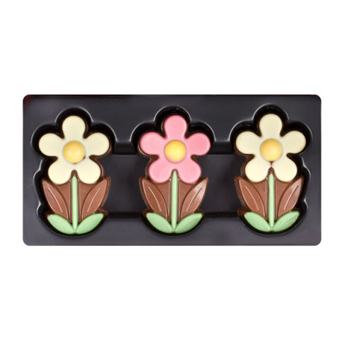 Little Daisy - fleurs en chocolat