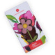 Spring Little Daisy