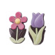 6 Petites Fleurs - 6 Fleurs en chocolat