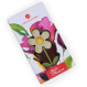 Spring Little Daisy