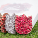 Coffret de fleurs en chocolat